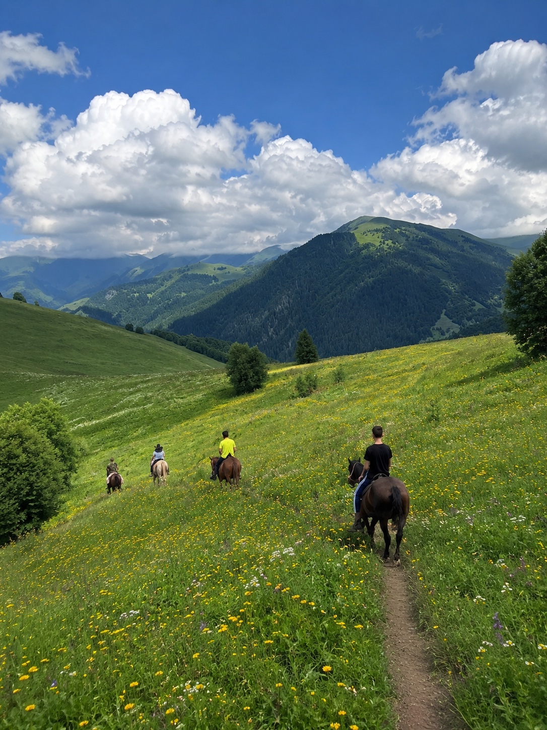 Конные прогулки